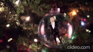 В лесу красавица растёт