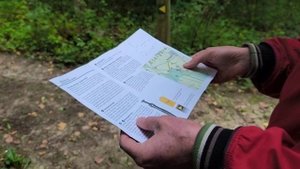 Лес и курганы Сторгорд, Дания. 25 август 2025