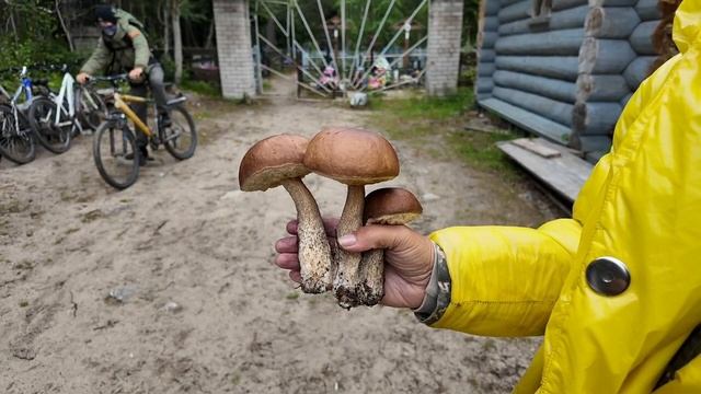 Переговорный камень