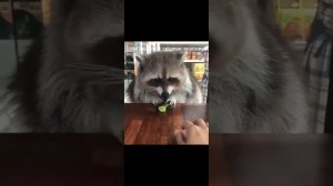 Разные видео.