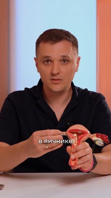 Тератома яичника: почему можно потерять орган за 3 часа? смотреть онлайн