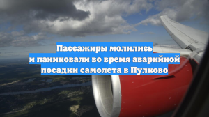 Пассажиры молились и паниковали во время аварийной посадки самолета в Пулково