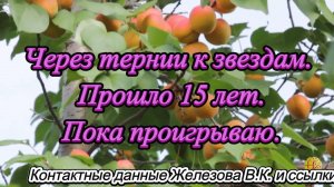 Через тернии к звездам. Прошло 15 лет. Пока проигрываю.