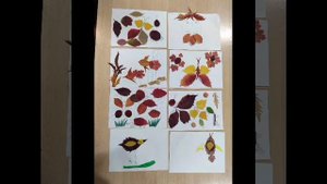 Цветочные композиции из воздушного пластилина. ГБССУ СО ГПВИ "ВПНИ"