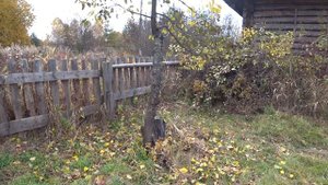 Закрытие сезона, садим яблони в деревне.