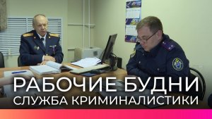 Новгородские следователи-криминалисты рассказали съёмочной группе НТ о рабочих буднях