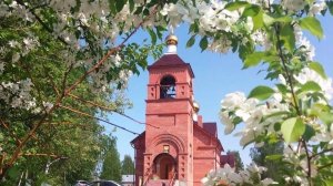 Помощь на благое дело! ТК «Первый Советский»