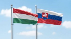 ТАСС: Венгрия и Словакия отказались участвовать в антироссийском трибунале ЕС