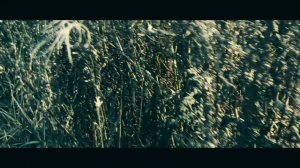 короткометражка 🎬🎬 "Последний шаг"