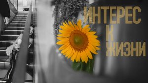 Эфир капсула "Интерес к жизни"