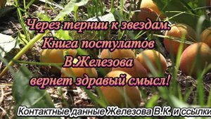 Через тернии к звездам. Книга постулатов В.Железова вернет здравый смысл!
