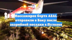 Пассажиров борта AZAL отправили в Баку после аварийной посадки в Пулково