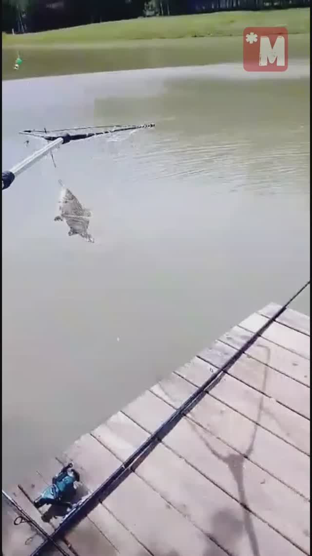 ТРИ вопроса женщины на рыбалке за 15 сек