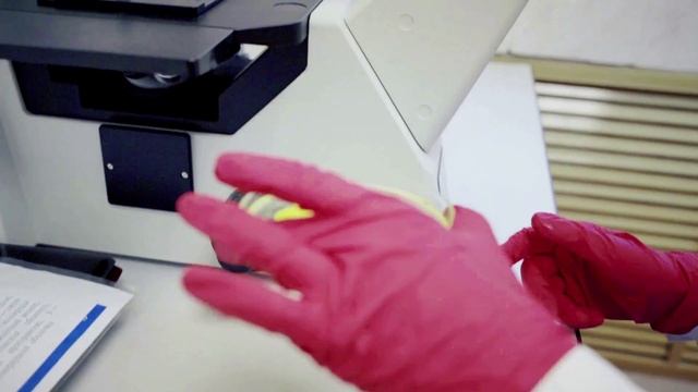 Научные направления кафедры «Охрана окружающей среды» ПНИПУ