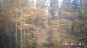 ЭД9М-0155. Путешествие по Карелии на север.