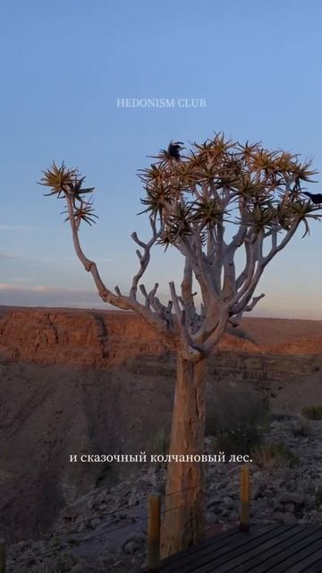 Вы точно не видели такой Африки!