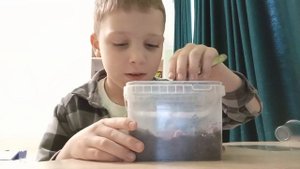 я показываю насекомых🕷и🐛