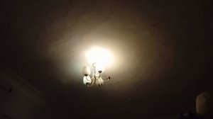 1000007477.mp4 Интересн, что это?