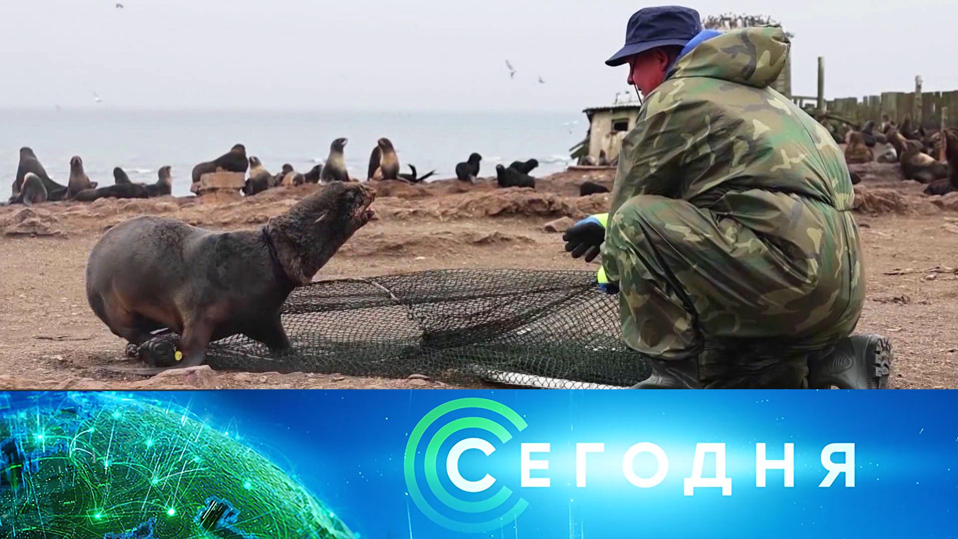 Сегодня: 20 октября 2025года. 16:00 | Выпуск новостей | Новости НТВ