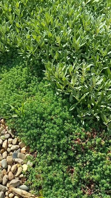 Конец октября в станице у моря смотреть онлайн