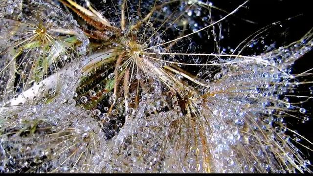 Негасимый свет get-save.com