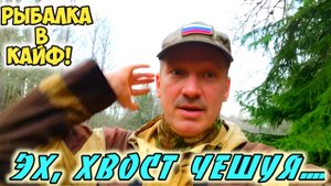 Рыбалка в кайф. Эх, хвост чешуя...
