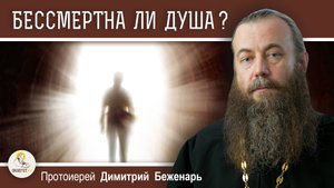 Откуда мы знаем, что ДУША БЕССМЕРТНА ? Протоиерей Димитрий Беженарь