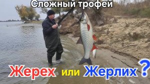 🔥Полчаса "таскали" ЖЕРЕХА на Волге ⚡️ пасмурная Астраханщина!!! Рыбалка в Октябре - 2025 !!!