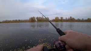 Отводной или Дроп-шот? Рыбалка на спиннинг осенью 2025