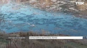 Тепло вернется в Красноярск на рабочей неделе