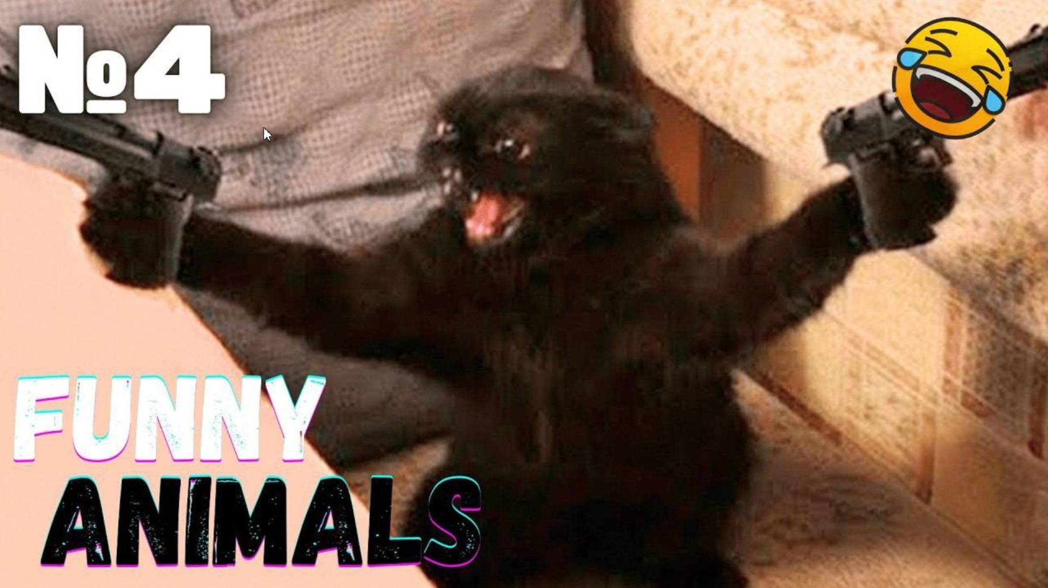 Прикольные видео Самые смешные животные 2025 видео с кошками и собаками ПРИКОЛЫ