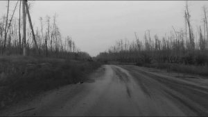 Минувшие дни - Каспер,Серебрянское лесничество.