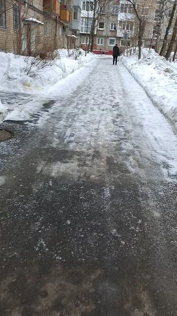 №89. Двор Сибирская 73. 13 февраля 2025 г., 16:40:25. VID_20250213_163827190