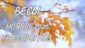 Весы ♎ Таро прогноз на ноябрь 2025 года
