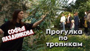 Детское Агентство Новостей - Прогулка по тропикам