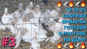 🔥🕊🔥 Сборная ярмарка голубей в г.Аксай. Птичий рынок 19.10.25. Часть 3.