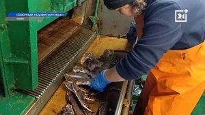 Интервью ВНИРО ТВ-21 Мурманск