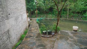 🌧️ Гэтоу, Гуйчжоу: мир и красота традиционной деревни 2025