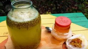 Квас из овса.