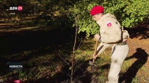 День древонасаждения в Аксае