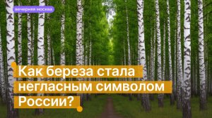 Как береза стала негласным символом России? // Вечерняя Москва