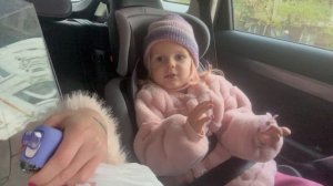 20-10-2025 #рептилии