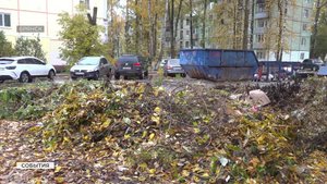Брянским управляющим компаниям напомнили о разнице между листвой и мусором