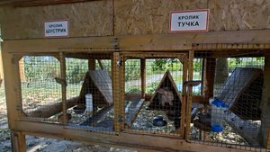 Живой уголок на турбазе "Остров Колочный"