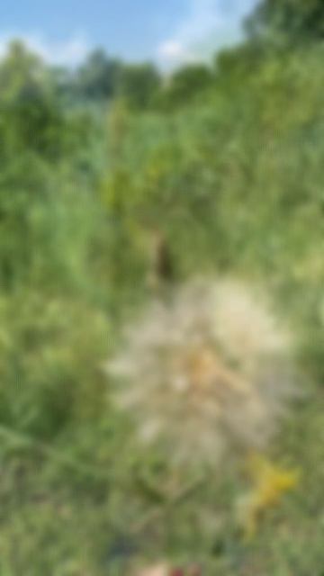 Бэкстейдж съемки