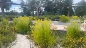 любимый СПб )))