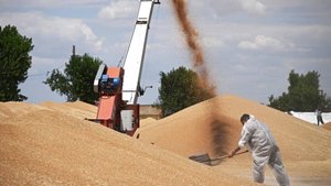 Китай в 73 раза увеличил импорт российской пшеницы