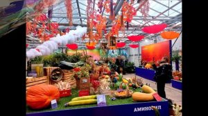 Аптекарский огород . Выставка "Овощи гиганты" 17 октября 2025 г