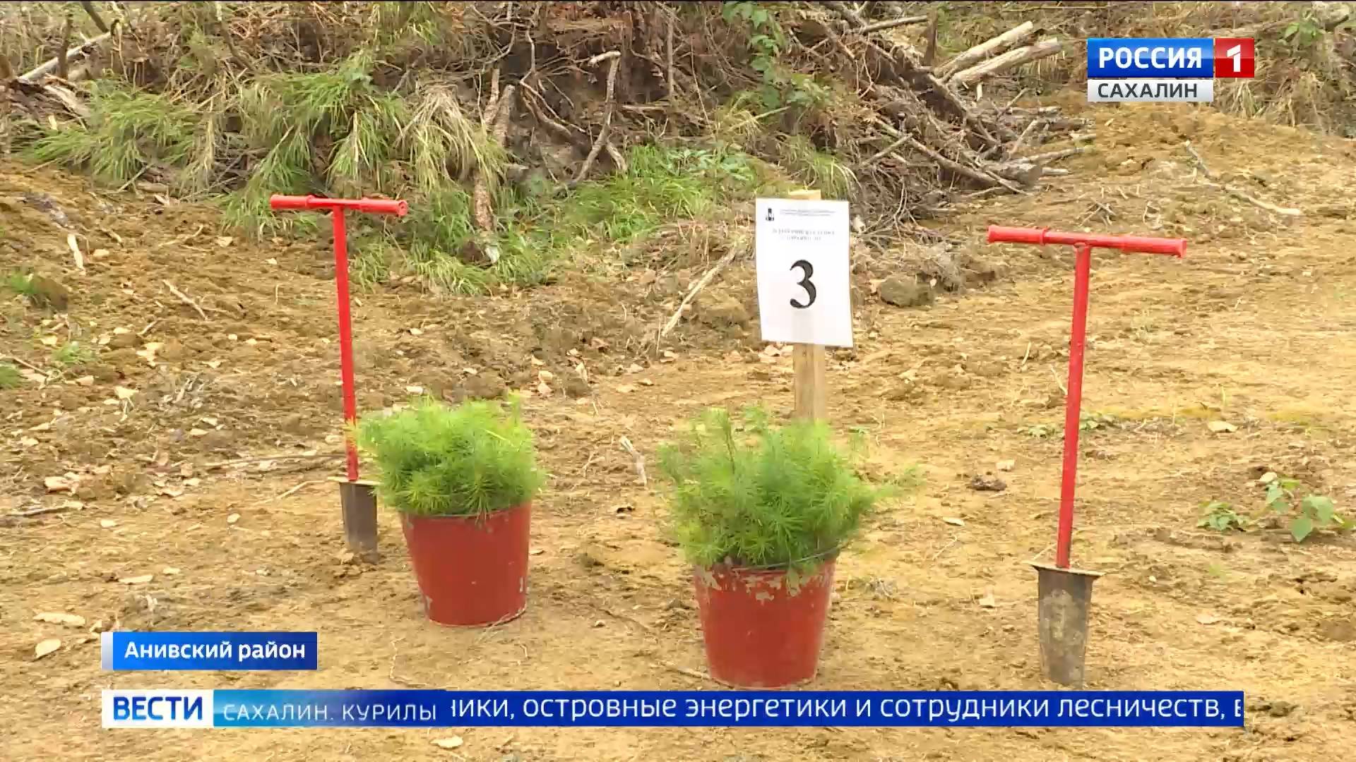 "Вести. Сахалин. Курилы". 17 октября 2025 года смотреть онлайн