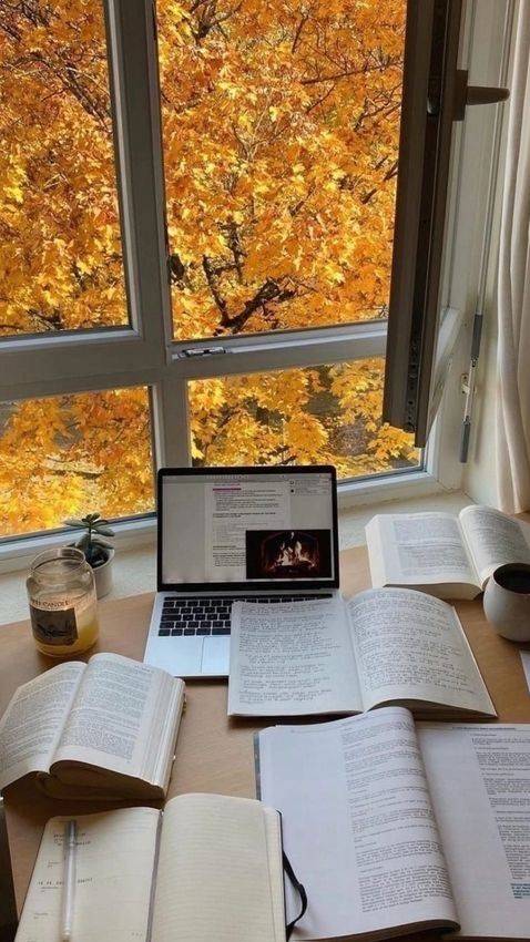 Бесплатный пробный урок в шапке профиля #математика #огэ #егэ #репетитор #уроки #сдамогэ #mathrepit